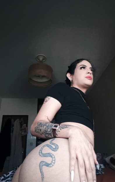 Hermosa latina trans super caliente em Porto - foto 2